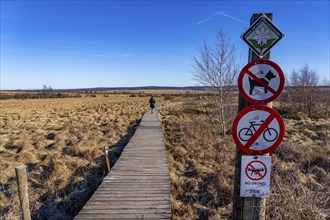 The High Fens, raised bog, in the Eifel and Ardennes region, High Fens-Eifel nature park Park,