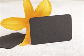 Black paper business card mockup with orange day-lily flower on gray concrete background. Blank,