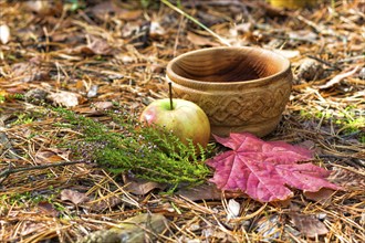 A wooden plate with heather, apple and red leaves. still life