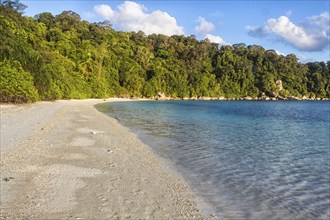 White sand beach with jungle on the tropical island. Malaysia