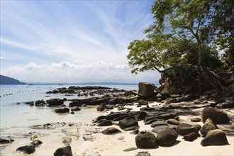 Sandy tropical beach with big gray stones and lone tree