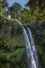 Tiu Kelep waterfall, nature, landscape, flowing, river, fresh, clear, clean, environment,