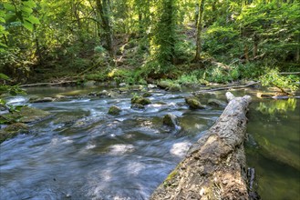 The Irrel Waterfalls, rapids in the lower course of the Prüm between Prümzurlay and Irrel, in the