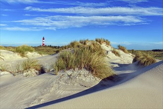 Amrum Island, landscape Germany, dune, dunes, grass, structure, form, vegetation, Amrum lighthouse,