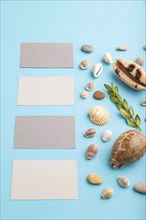 Composition with gray paper business cards, seashells, green boxwood. mockup on blue pastel