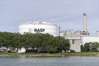 BASF, Lugwigshafen am Rhein, industrial area, Mannheim, Baden-Württemberg, Germany, Europe