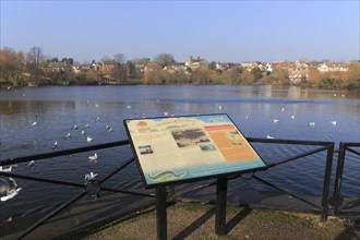 The Mere lake pond at Diss, Norfolk, England, UK