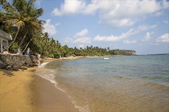 Tropical sandy beach and coconut palm trees curving around a bay, Mirissa, Sri Lanka, Asia