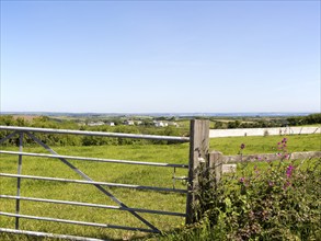 Countryside summer landscape near St Keverne, Lizard Peninsula, Cornwall, England, UK