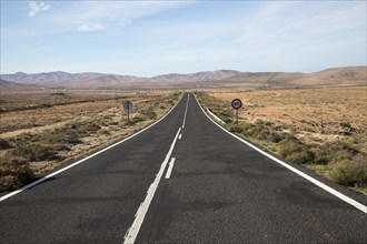 Straight tarmac road crossing desert, Fuerteventura, Canary Islands, Spain, Europe