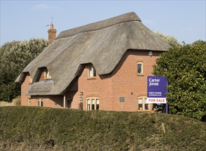 Thatched country cottage for sale with Carter Jonas estate agent sign outside, Alton Priors,