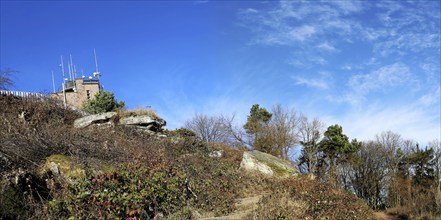 View of the summit of the Kalmit, the highest peak in the Palatinate Forest at 672 metres above sea