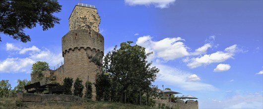 The Wachtenburg castle near Wachenheim close to Bad Dürkheim