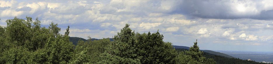 Panorama of the Palatinate Forest