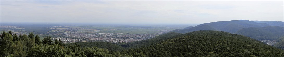 Panorama of the Palatinate Forest