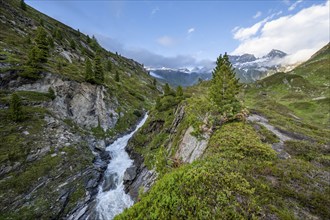 Mountain landscape with mountain stream Zemmbach, behind mountain peak Kleiner Mörcher, Berliner