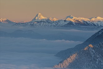 Mountain peak above high fog in the evening light, winter, snow, view from Laber to Guffert,