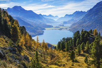 Lake Silvaplana and Lake Sils, Upper Engadine, Graubünden, Switzerland, Europe