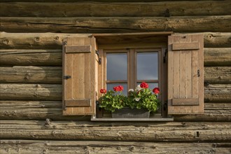 Window with shutters and geraniums at an alpine hut, Alpe di Siusi, South Tyrol, Italy, Europe