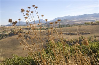 View over Andalusian countryside from Ronda, Spain, Europe