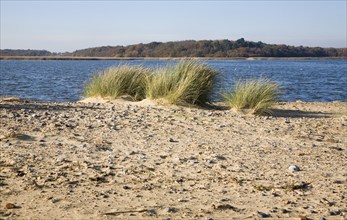 Benacre Broad lake is separated from the sea by the shingle beach bar of Benacre Ness, Suffolk,