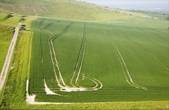 Chalk landscape Cherhill, Wiltshire, England, UK vehicle patterns in crops at foot of chalk scarp