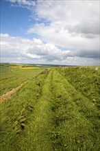 Grass track crossing chalk landscape of the Marlborough Downs, near East Kennet, Wiltshire,