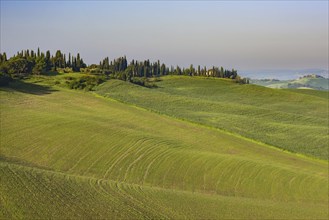 Crete Senesi, Province of Siena, Tuscany