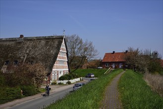 Europe, Germany, Lower Saxony, Altes Land near Hamburg, Steinkirchen an der Lühe, old half-timbered