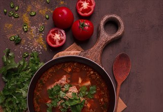 Kharcho soup, traditional Georgian dish, spicy soup, red, homemade, no people