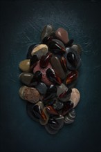 Fresh mussels, on rocks, top view, food concept, selective focus, seafood, no people