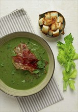 Green mashed soup, with bacon and croutons, homemade, no people