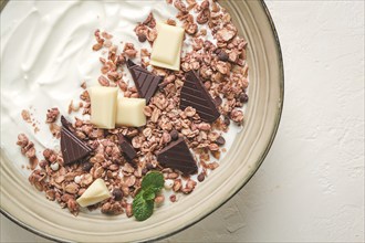 Yogurt with chocolate muesli, breakfast, close-up, fork on top, no people