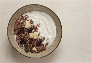 Yogurt with chocolate muesli, breakfast, close-up, fork on top, no people