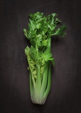 Fresh bunch of celery, top view, no people, on a dark background