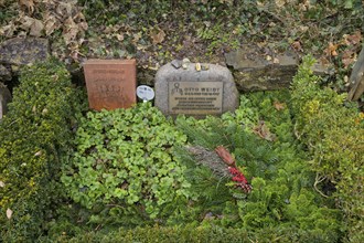 Otto Weidt, grave of honour, Zehlendorf Cemetery, Onkel-Tom-Straße, Zehlendorf, Berlin, Germany,