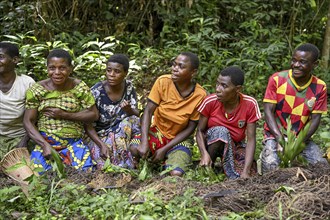 Pygmies of the Baka or BaAka people swear to hunt, hunting magic, net hunting, Dzanga-Sangha