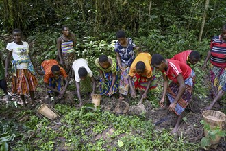 Pygmy woman of the Baka or BaAka people with their hunting nets, Dzanga-Sangha Special Dense Forest