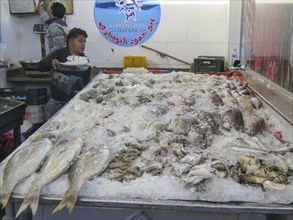 Fish in the fish market of Hurghada, Egypt, Africa