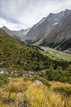 Green mountain valley with river and steep mountain peaks, Chong Kyzyl Suu Valley, Terskey Ala Too,