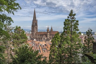 View over the roofs of the old town with Freiburg Minster, Freiburg im Breisgau, Baden-Württemberg,