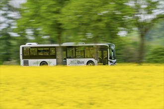 Landscape on the Lower Rhine, XBus line in rural areas, VRR, regional transport, public transport,