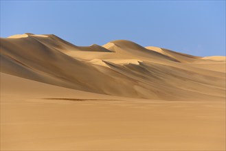 Sand dunes under a blue sky, conveying a calm and vast desert landscape, Matruh, Great Sand Sea,