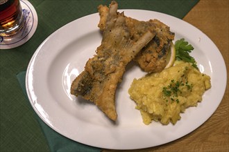 Baked carp fillet (Cyprinus carpio) served with potato salad in a pub, Franconia, Bavaria, Germany,