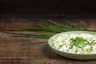 A green plate with fresh tzatziki and chives on wood