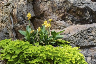 Weesenstein Castle rises on a rocky outcrop of nodular mica schist with quartzite deposits above