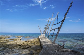 Adriatic Sea near Savudrija, Istiren, Croatia, Croatia, Europe