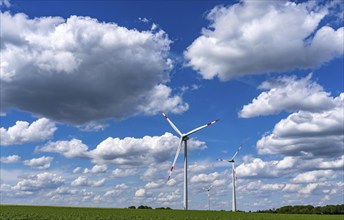 Wind farm, wind turbine, wind turbines from the manufacturer Enercon, blue sky with many white