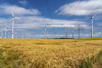 Wind farm east of Bad Wünnenberg, East Westphalia-Lippe, high-voltage power lines, grain field,