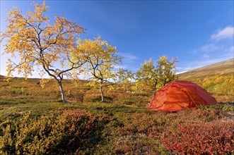 Camping in the Sinnitjohkka and Duolbagorni mountains, Kebnekaise massif, Lapland, Sweden, Sweden,